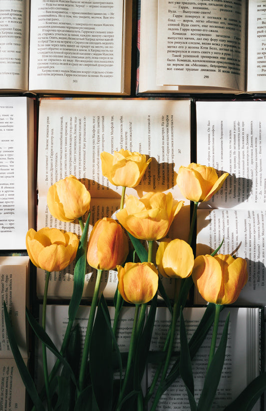 Tulip Bouquet & Bibles