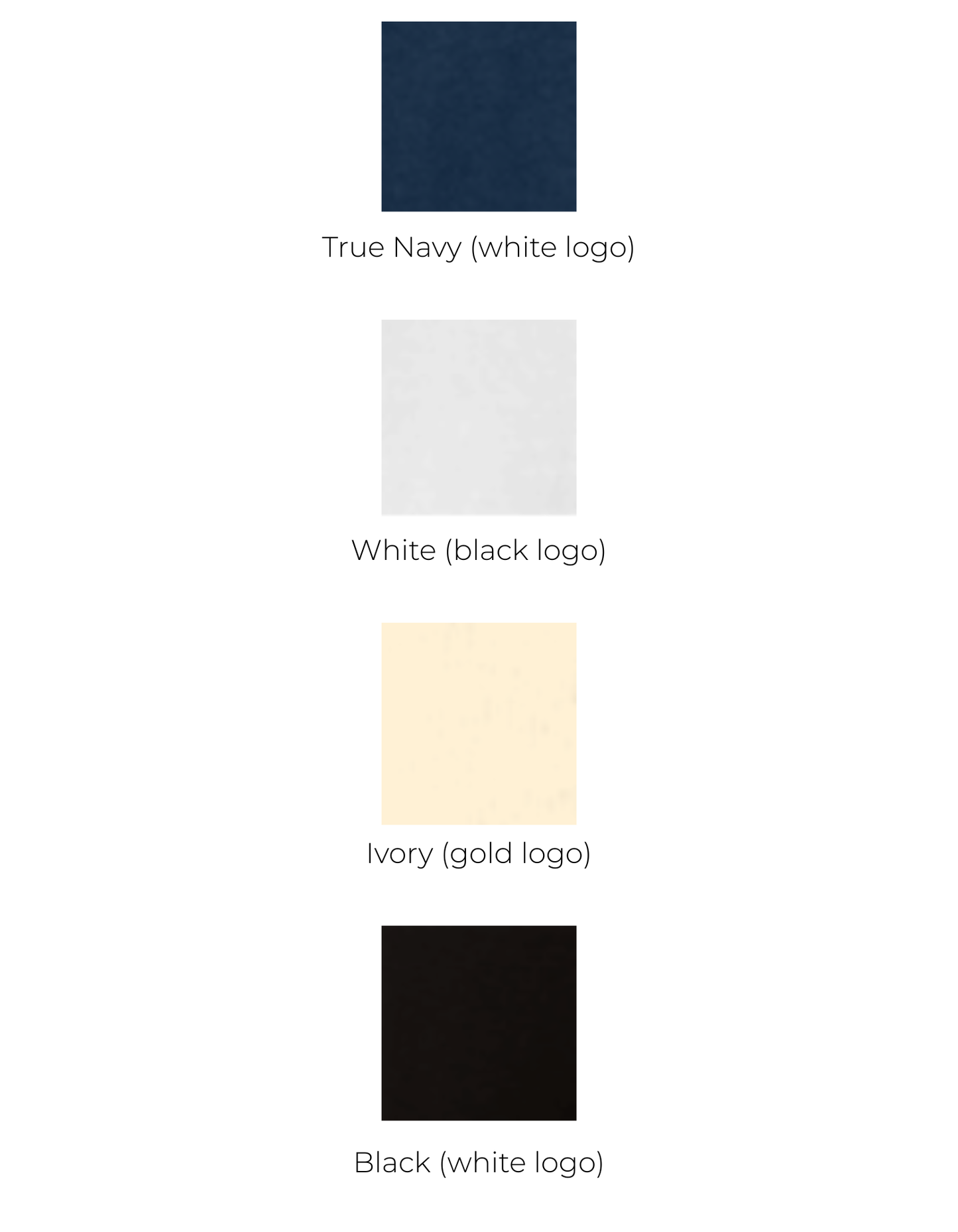 Veritas Bible Church Tee